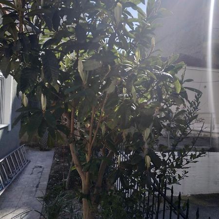 Agelikis' Apartments Nea Kallikrateia Esterno foto